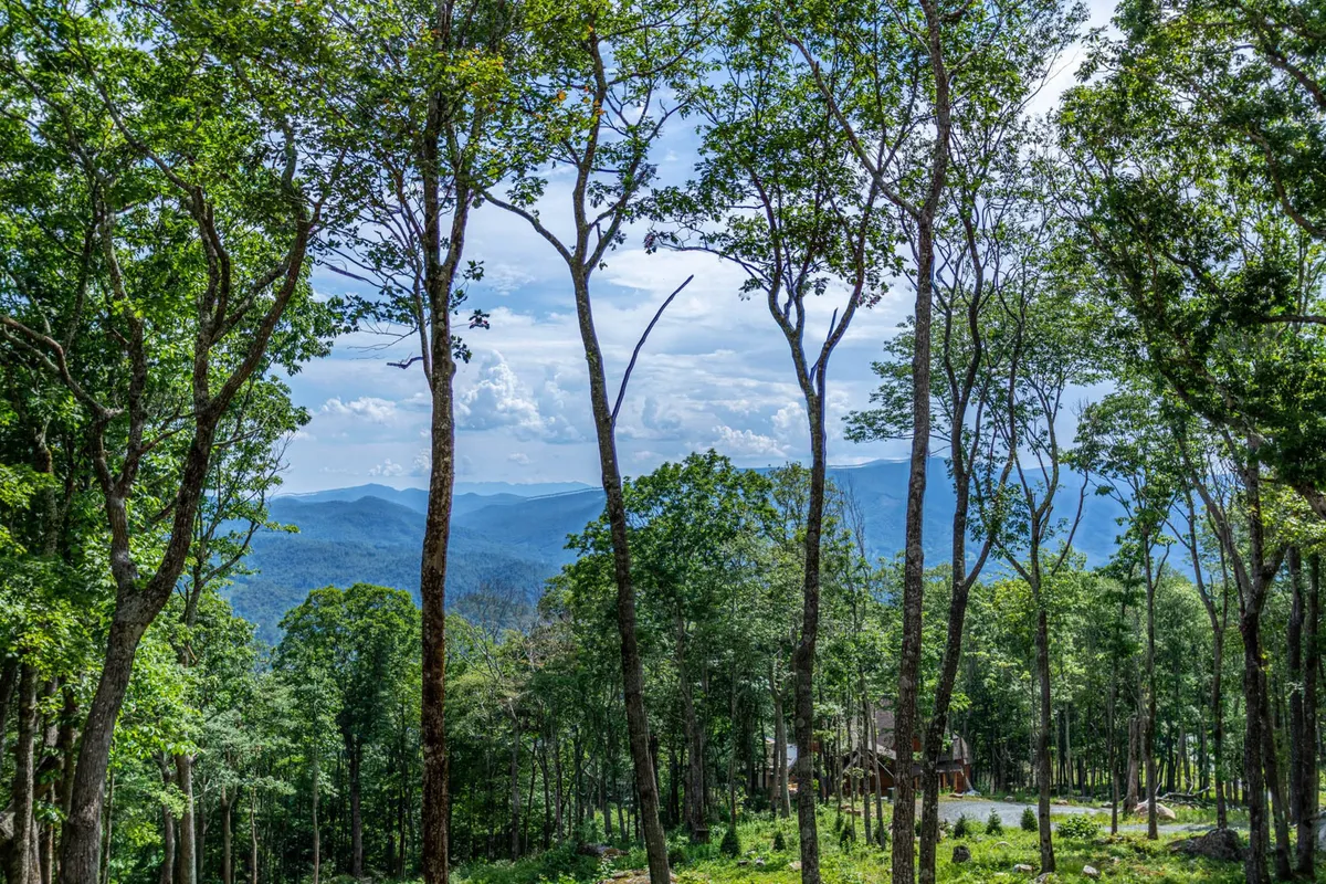 This image captures a breathtaking view of tall trees framing distant mountain peaks beneath a vast, open sky. The natural setting hints at the resort's proximity to scenic hiking trails and provides a sense of the adventure awaiting outdoors.
